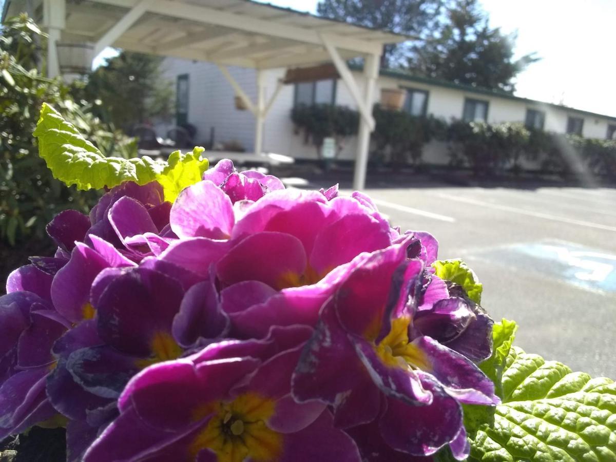 The Orca Inn Friday Harbor Extérieur photo